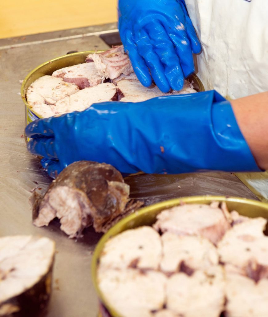 Tuna canning manually
