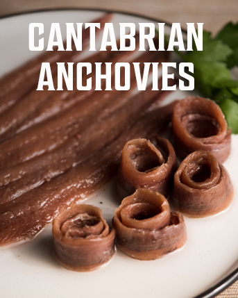 Shop Cantabrian Anchovies