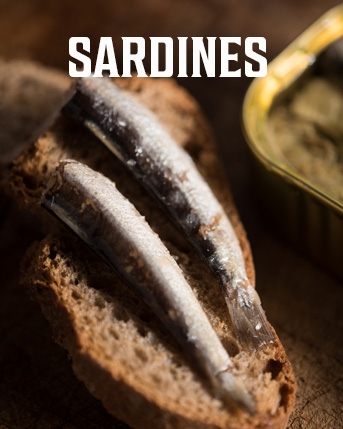 Shop Sardines