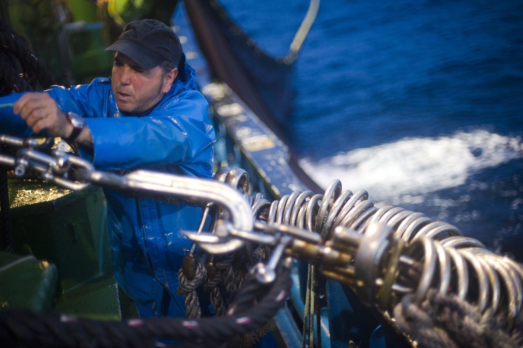 Pesca acciuga a bordo